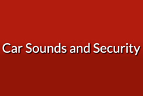 Car Sounds and Security - Surrey